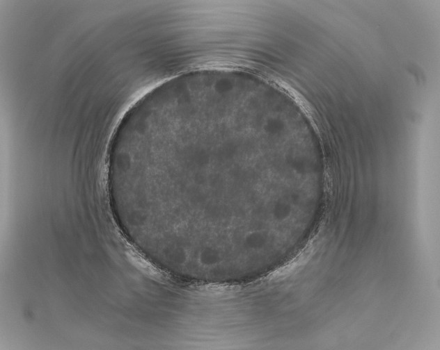 X0000111010779200907311050