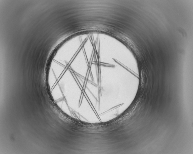 X0000111010780200907311050