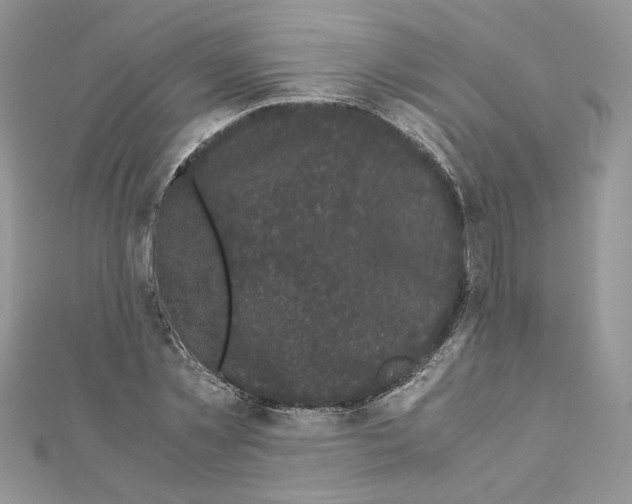 X0000111010781200907311050