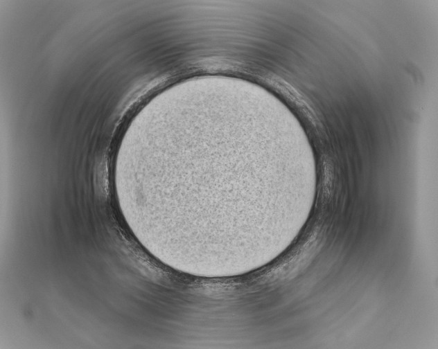 X0000111010782200907311050