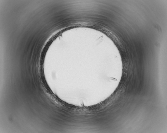 X0000111010784200907311050