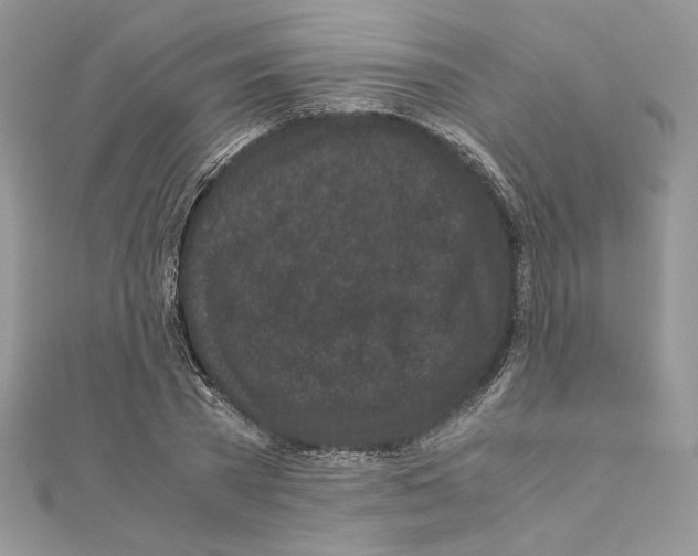 X0000111010785200907311050