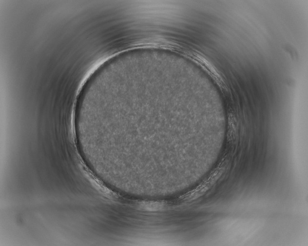 X0000111010788200907311050
