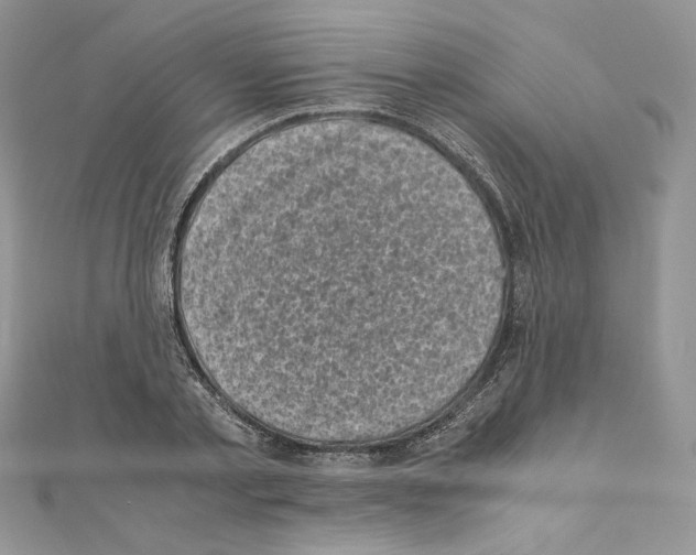 X0000111010789200907311050