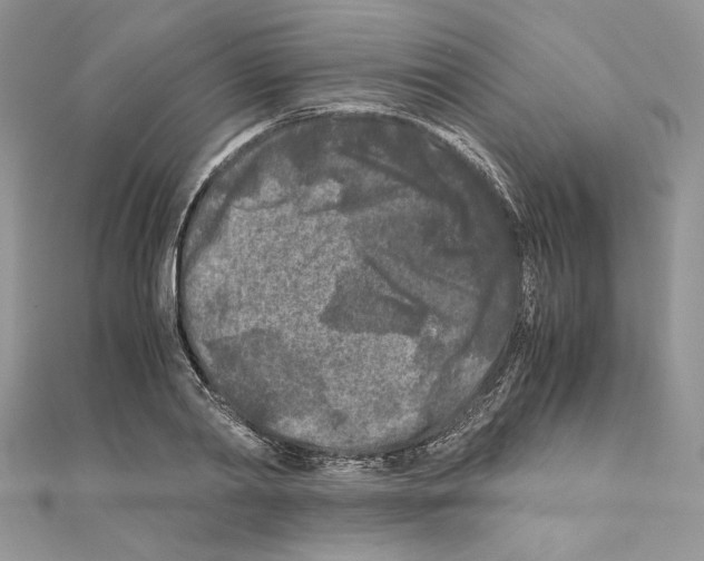 X0000111010790200907311050