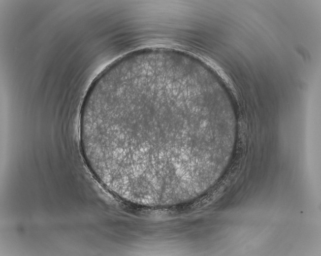 X0000111010791200907311050