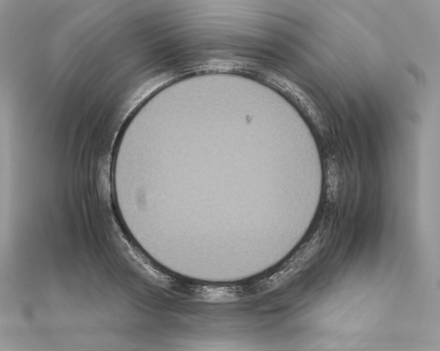 X0000111010794200907311050