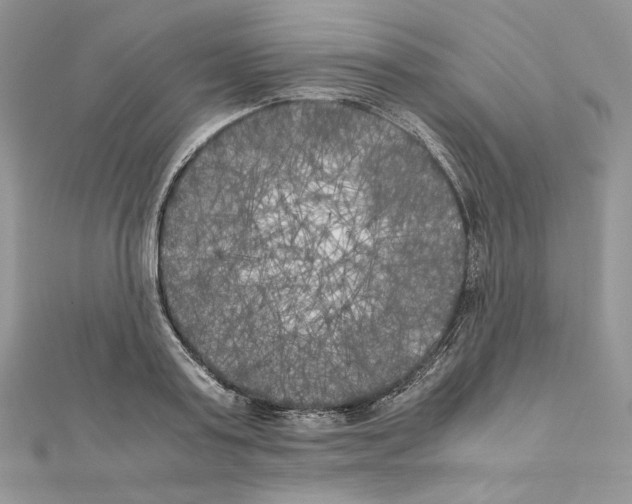X0000111010795200907311050