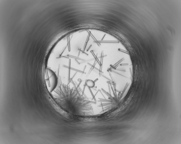 X0000111010796200907311050