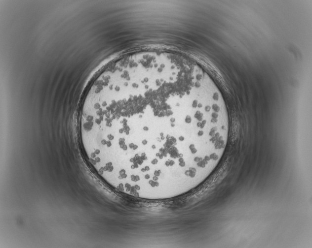 X0000111010798200907311050