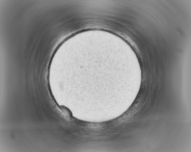 X0000111010799200907311050