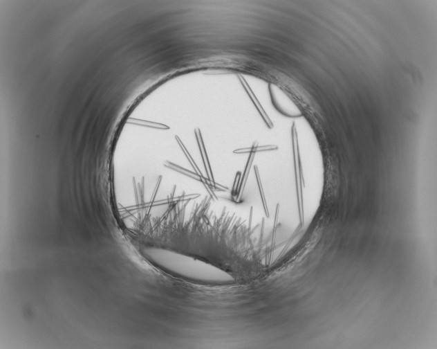 X0000111010800200907311050