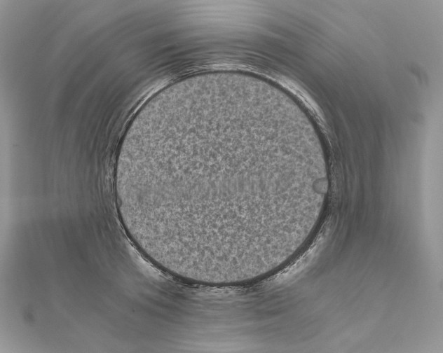 X0000111010801200907311050