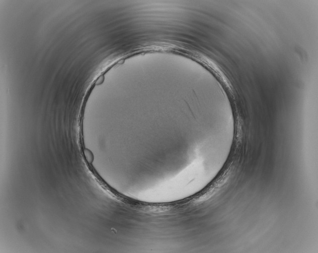 X0000111010802200907311050