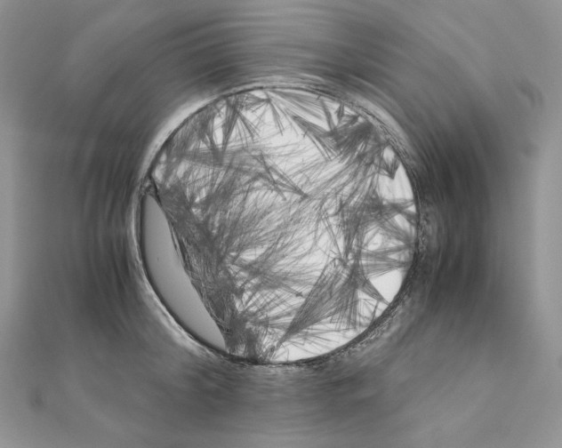 X0000111010804200907311050