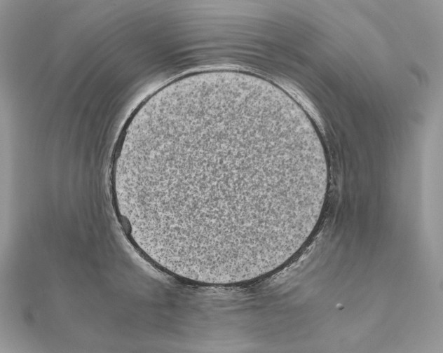 X0000111010805200907311050