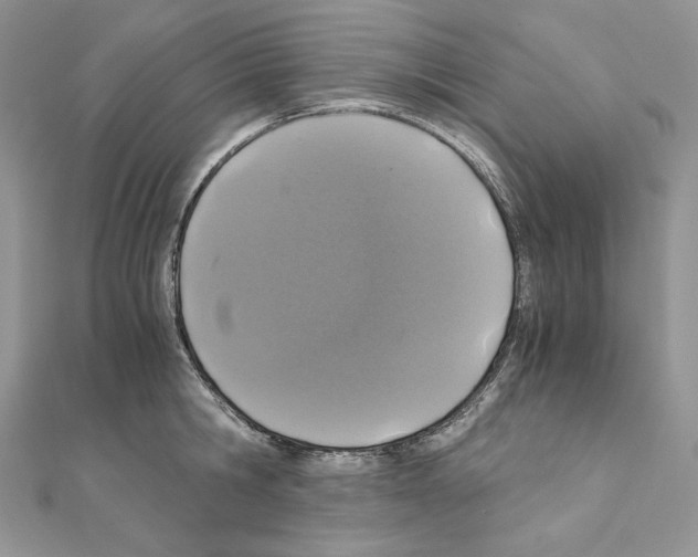 X0000111010806200907311050