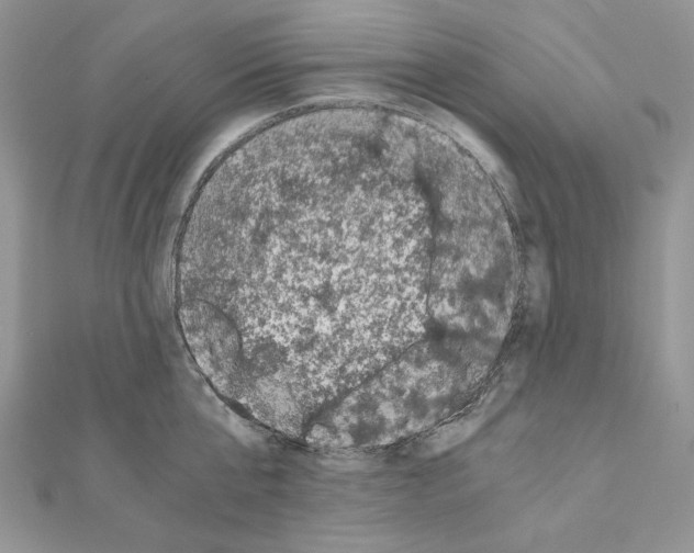 X0000111010807200907311050