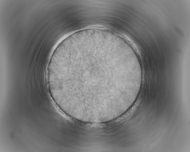 X0000111010808200907311050