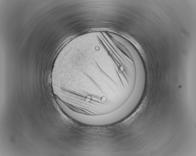 X0000111010809200907311050