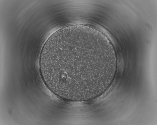 X0000111010810200907311050