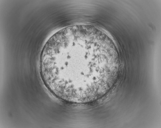 X0000111010811200907311050