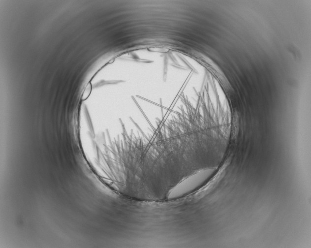X0000111010812200907311050