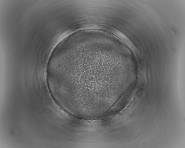 X0000111010813200907311050