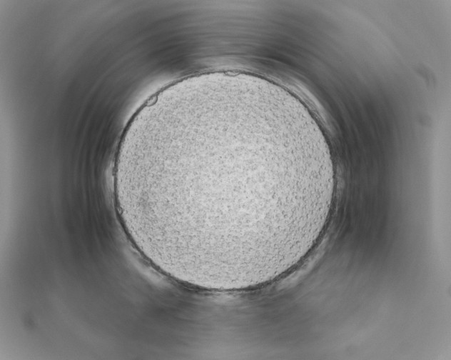 X0000111010814200907311050
