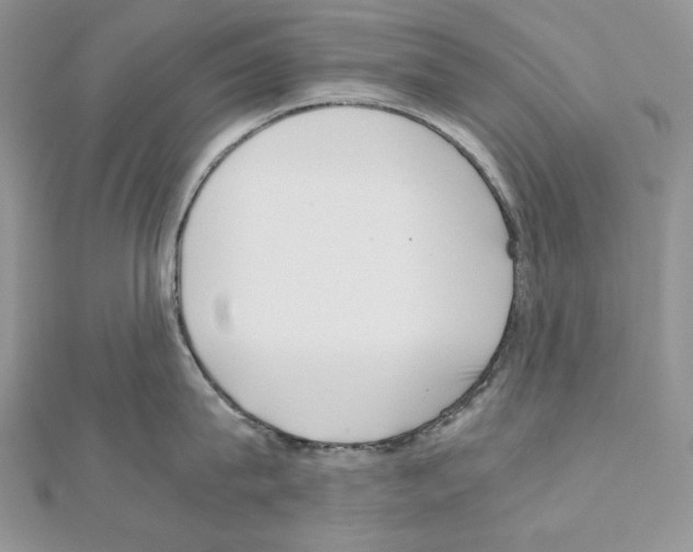 X0000111010815200907311050