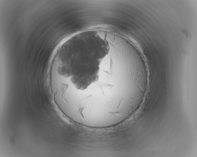 X0000111010816200907311050