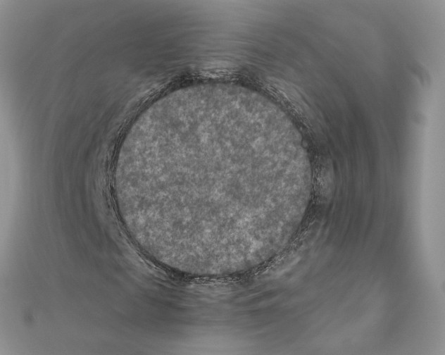 X0000111010817200907311049