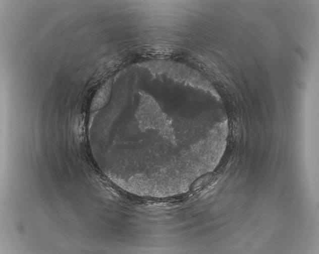 X0000111010818200907311049