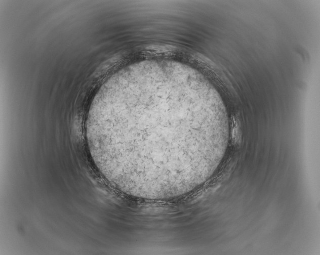X0000111010819200907311049