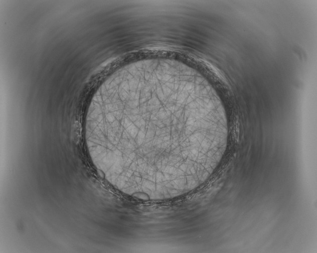 X0000111010821200907311049