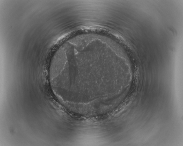 X0000111010822200907311049