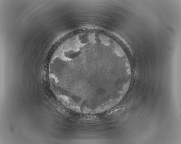 X0000111010823200907311049