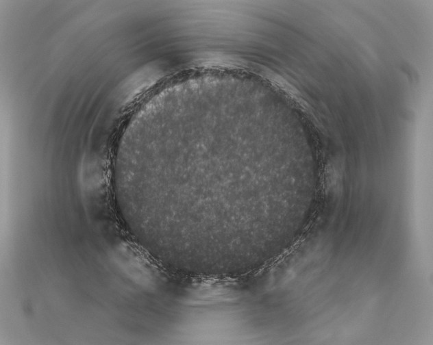 X0000111010824200907311049