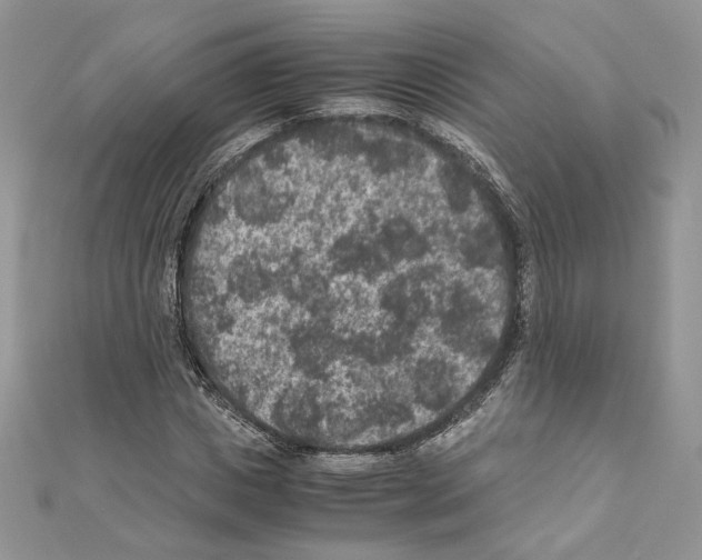 X0000111010825200907311049