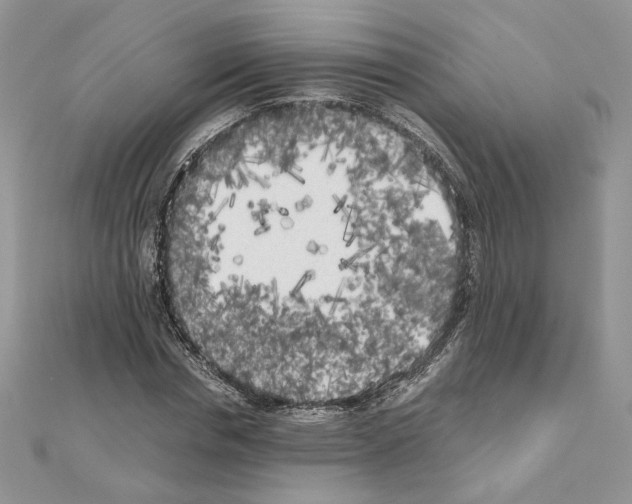 X0000111010826200907311049