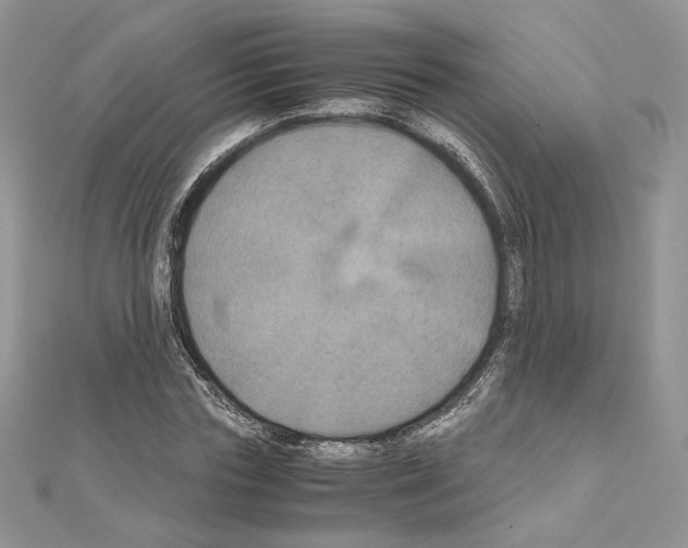 X0000111010827200907311049