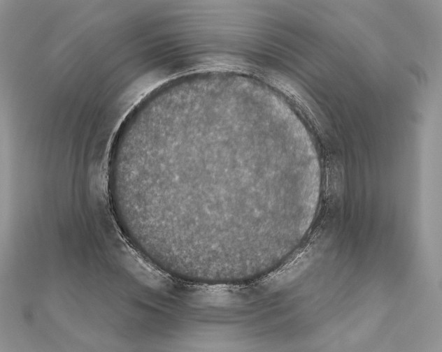 X0000111010828200907311049