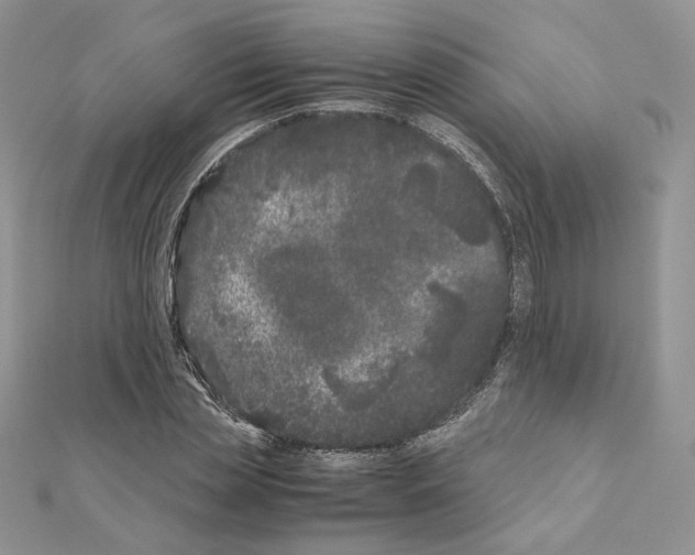 X0000111010829200907311050