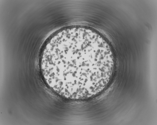 X0000111010830200907311050