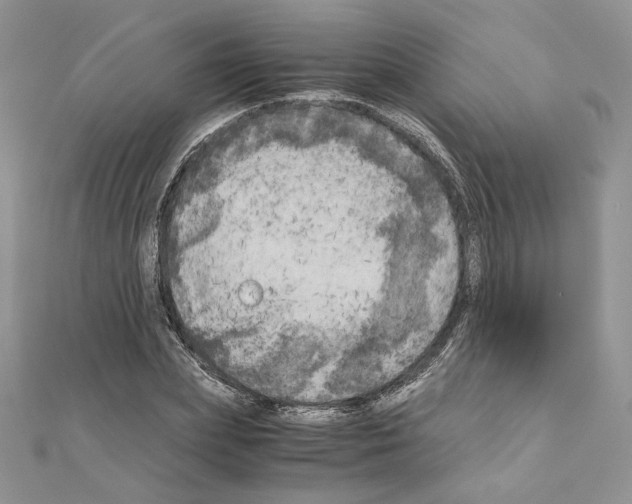 X0000111010831200907311050