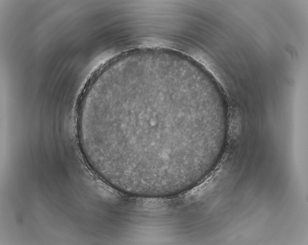 X0000111010832200907311050