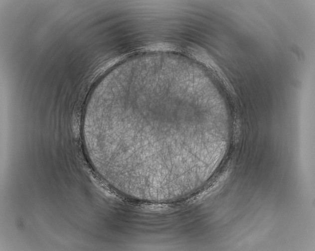 X0000111010833200907311050