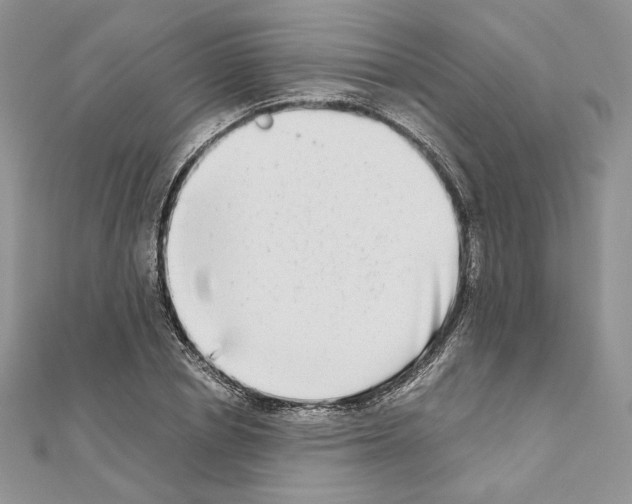 X0000111010834200907311050