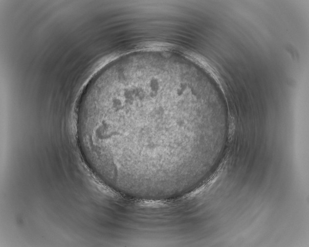 X0000111010835200907311050