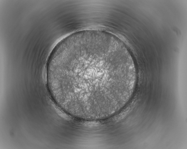 X0000111010838200907311050